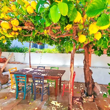 Casa de férias Dimora La Vite Lacco Ameno (Isola d'Ischia)